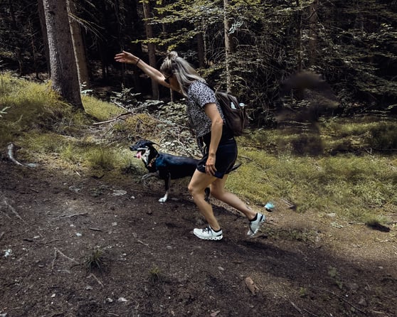 Der Hund wird körpersprachlich um den Baum geschickt