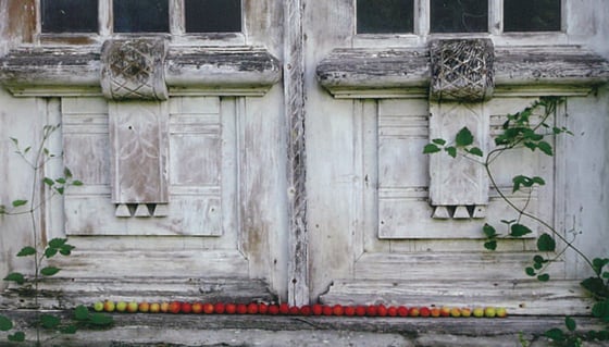 Takashi Ikezawa (JAPAN)