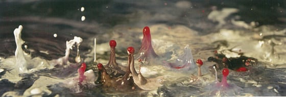 Akiko Nakayama (JAPAN)