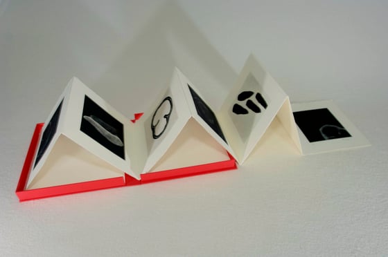 Querschnittsbilder einer Peperoni, in schwarz-weiss gedruckt und zu einem siebenseitiges Leporello gefaltet verpackt in einer roten Schachtel