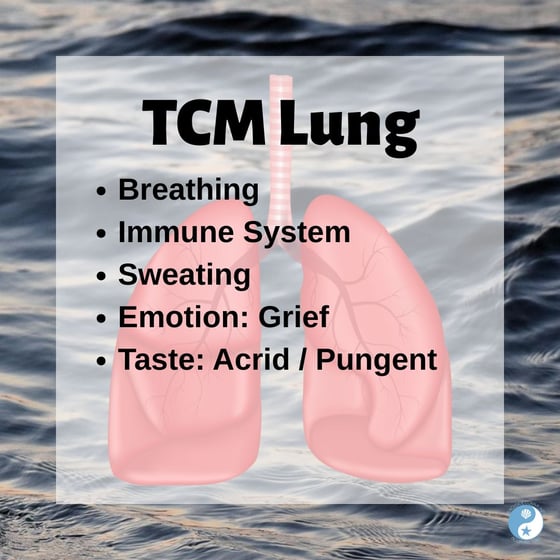 TCM Lung on the Beachside Blog: Breathing, immune system, sweating