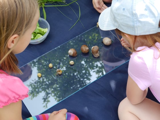 Foto: Daniela Malcher, LBV Bildarchiv