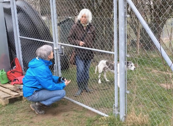 Nicht immer einfach: Neues lernen bedeutet auch, alte Überzeugungen über Bord zu werfen.