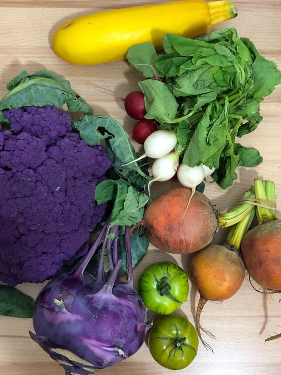 Regionales und saisonales Gemüse kann so vielfältig und bunt sein, und ist vor allem eins: nachhaltig. Eine kleine Auswahl an frischem Gemüse aus der Hobenköök in Hamburg, die ihre Waren regional (max. 200km Entfernung) beziehen.