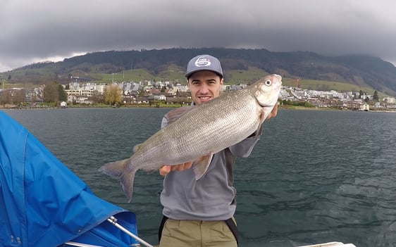 Wenn Du eine erfolgreiche Felchen-Hegene suchts findest Du bei uns eine tolle Auswahl im Onlineshop. Jetzt eine fängige Hegene online kaufen.