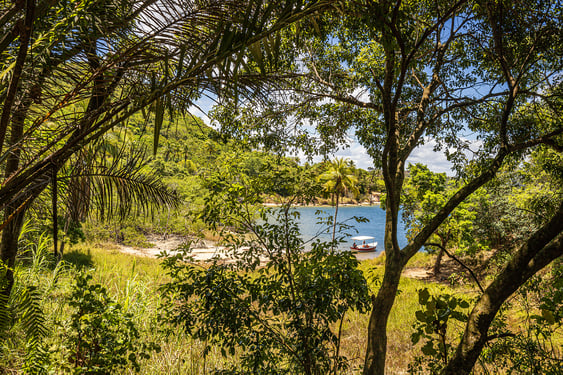 battle of reduto, bay of reduto, beach of reduto, rio formoso, praia dos carneiros, brazil, pernambuco, history of brazil, river cruise, ecotourism, day trips recife