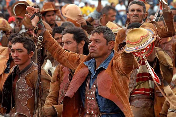 serrita, vaqueiro, reisebericht, brasilien, pernambuco, steppe, missa do vaqueiro, luiz gonzaga, kaktus, rodeo, reiterspiele