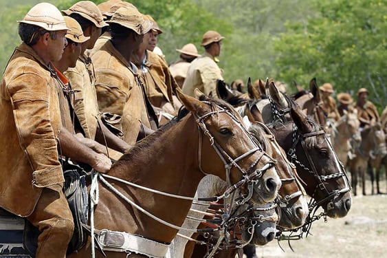 parque estadual joão câncio, cowboy mas, serrita, pernambuco, raimundo jacó, luiz gonzaga, gibão, procession, rodeo, brazil, missa do vaqueiro