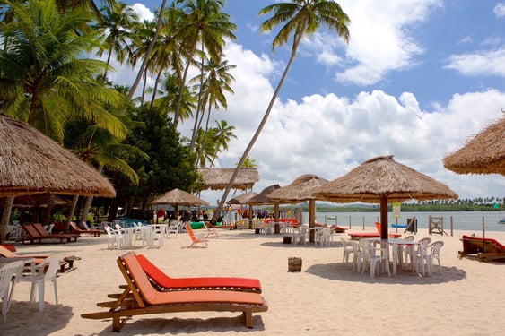 praia dos carneiros, tamandare, brasil, praia dos sonhos, boa comida, frutos do mar, peixe, passeio de barco, rio formoso, pôr do sol, coqueiros