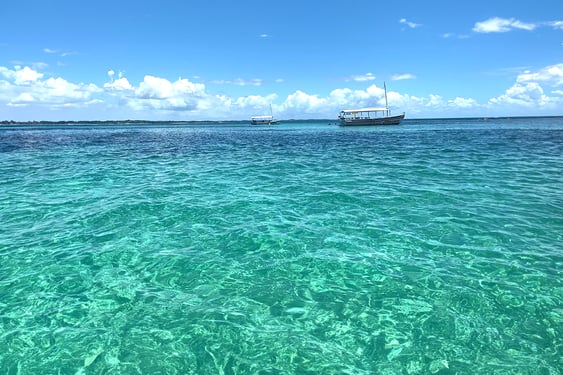 itamaracá, paseo en barco, paraíso, coroa do avião, igarassu, brasil, agua cristalina, playa de ensueño, vacaciones de ensueño, viaje a brasil, playa