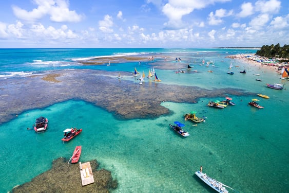 porto de galinhas, coral reef, natural swimming pools, jangada, raft, brazil, recife, dream beach, tropical fish, discover brazil, diving
