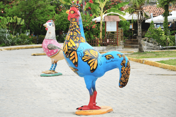 gorto de galinhas, pollos, exposición, lugar turístico, brasil, vacaciones en la playa, puerto de esclavos, pueblo de pescadores, recorridos turísticos, viajes a brasil, vida nocturna