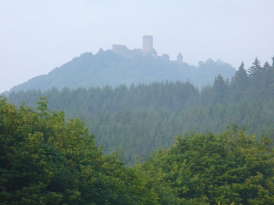 Narburg - Sicht aus dem Norden
