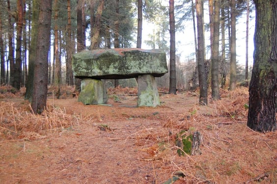 Steinmonument im Wald