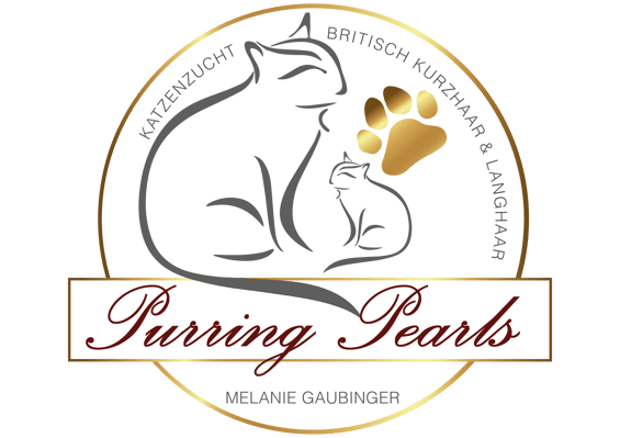 PURRING PEARLS - Britisch Kurzhaar