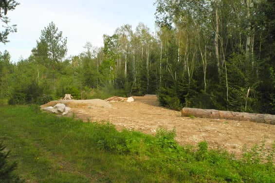 Kiesschneise mit gebuchtetem Waldrand