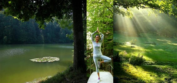 Waldbaden -  Entspannung, Atmung und Yoga im Wald