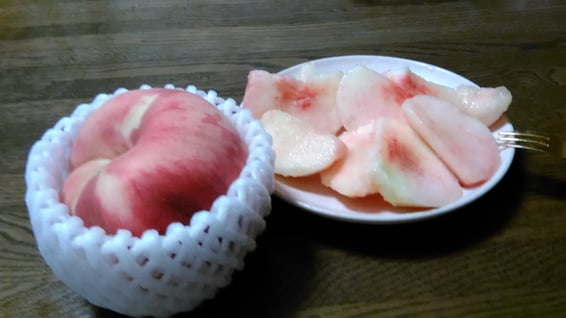 お客様からの頂き物・ももの写真