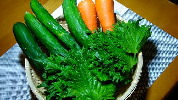 お客様からの頂き物・野菜の写真