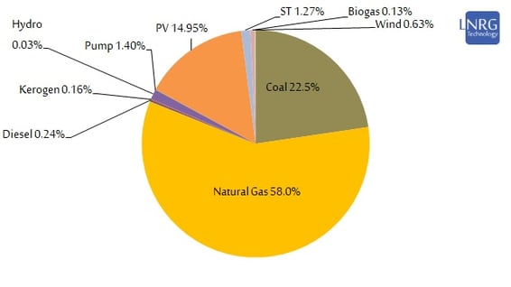 Capacity of the electricity generation segment in Israel by primary fuel type as of December 2021