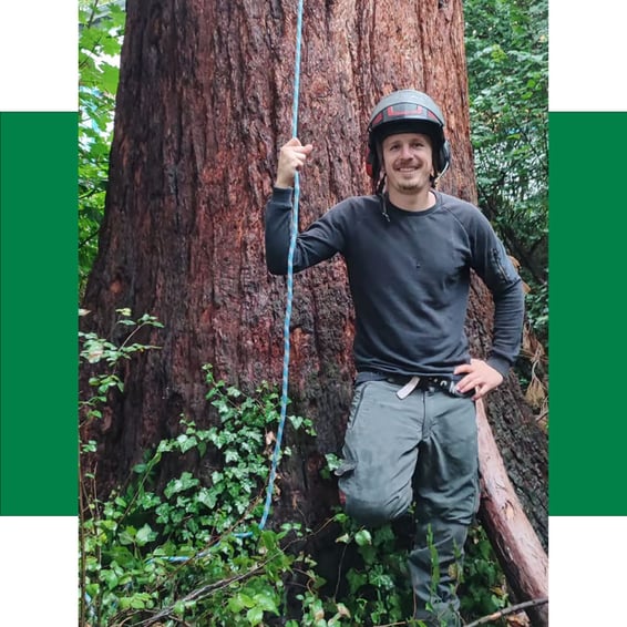 Jakob Mundhenke (Inhaber von Baumpflege ImmerGrün)