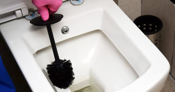 Toilette entkalken, Kloschüssel entkalken, Klobürste