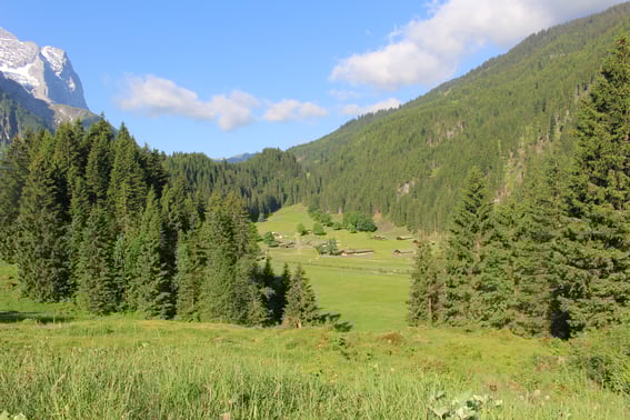 Grindel Alp im Reichenbachtal (Rosenlaui)