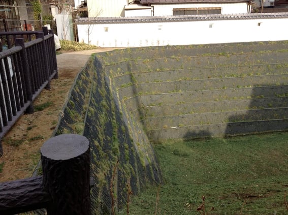 最近公開のお堀跡