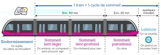 Le train du sommeil permet de repérer et de comprendre les différentes phases d'un cycle de sommeil. Petiteau psychologue