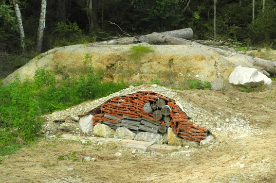 „Eidechsenburg“ – Unterschlupf und Winterquartier für Amphibien und Reptilien