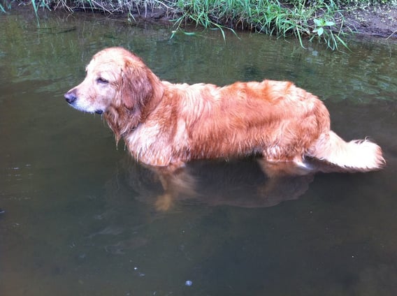 Die Badesaison ist eröffnet...