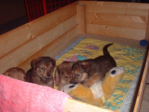 meins, meins, meins....