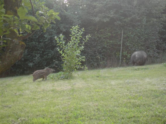 ....die Krankheit ist besiegt und los geht´s....