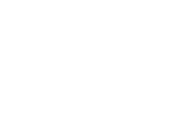 Dipl.-Psych. Silvio Olmedo-Paasch