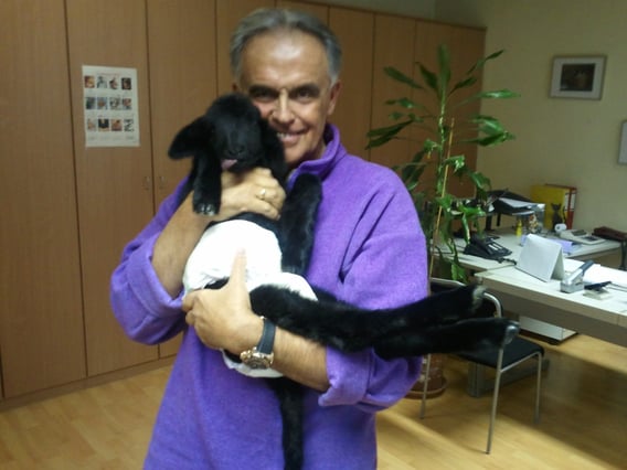 Lämmchen Harald beim Kuscheln...