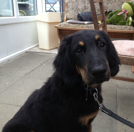 Bastian ist nicht traurig, nur müde, hungrig und hat gerade getrunken (im Liegen!)