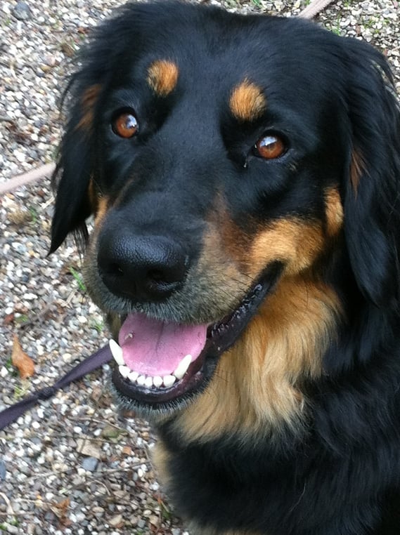 Annabelle, 08.08.2012