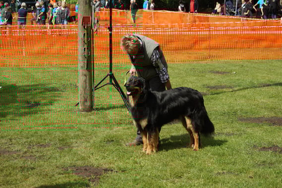 Verhalten III in Haltern am See, Bjarny wird der Richterin vorgestellt