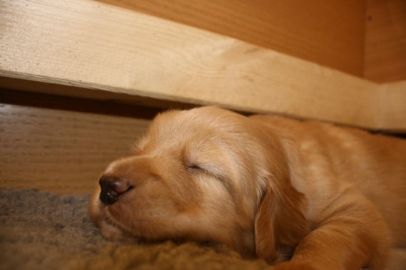 Bisher hat Antek noch immer unter den Rahmen gepasst; Tag 23