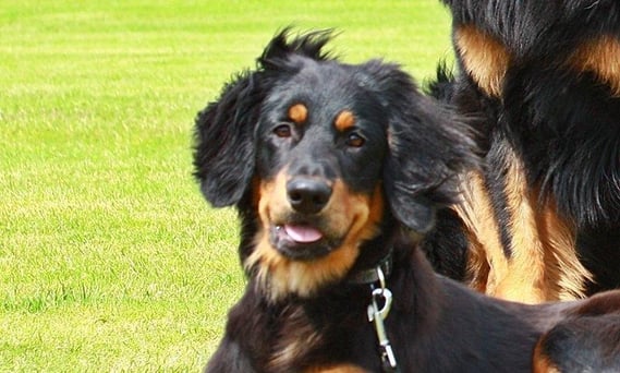 im Hintergrund Bakis Papa / die Markenfarbe ähnelt doch schon sehr...