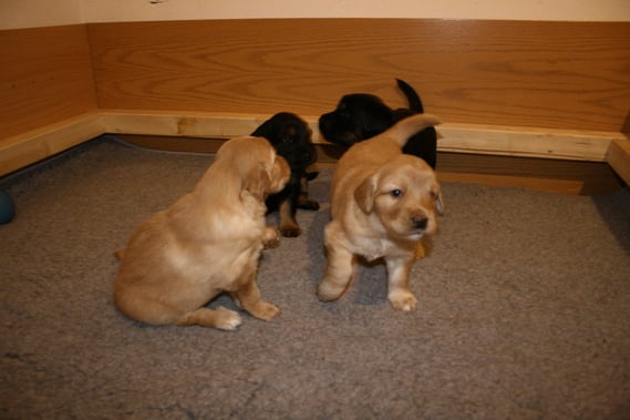 ....jeden Tag ein Stück."