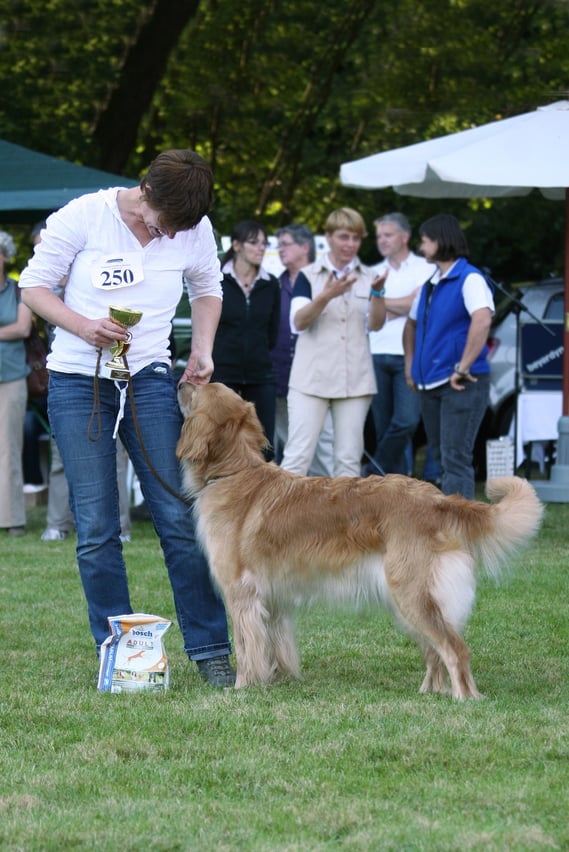 Meisdorf Clubsiegerschau RZV & HZD ; Offene Klasse Hündinnen V4