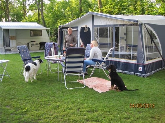 Bjarnys zweites zu Hause, er denkt schon über seine neuen Aufgaben nach... und er fragt sich wohl, wieso hier so wenig Törchen sind:)