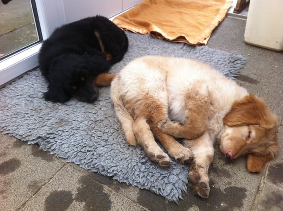 Im Schlaf werden die Erlebnisse verarbeitet und die Erfahrungen gefestigt.