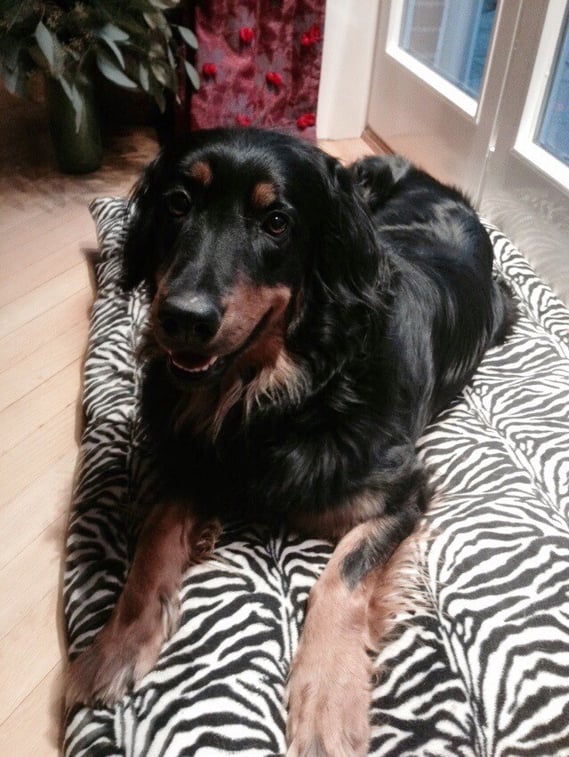 Fröhliche Weihnachten 2014!