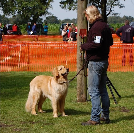 Phänotypbeurteilung Verhalten III, Haltern am See 27.06.2014