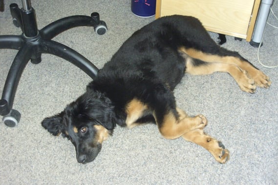 Bürohilfe, 20.10.10