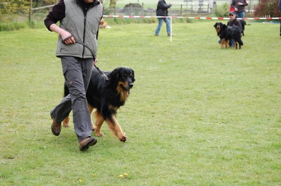 Edith und Bjarny im Takt