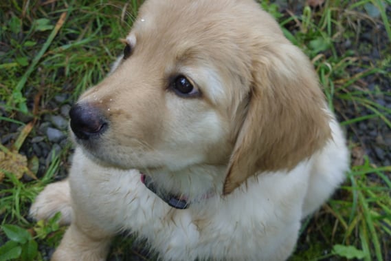 Was dort wohl alles auf sie zukommen wird?