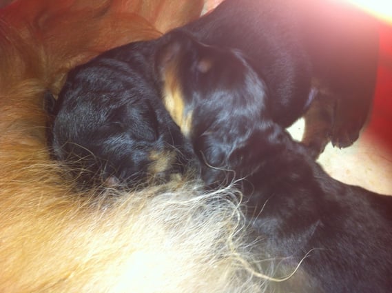 Bera hat volle Unterstützung durch Mama und ihren Bruder